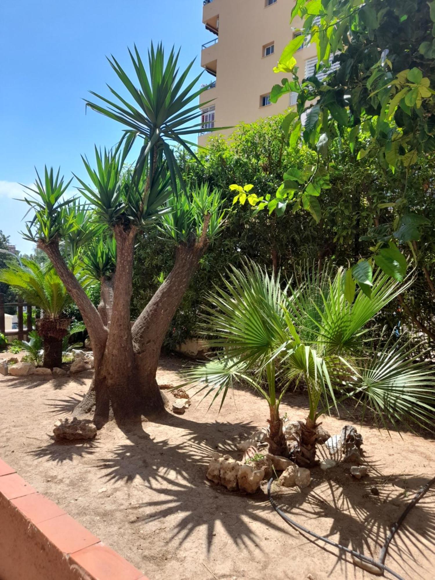 Torremolinos Centro Beach Διαμέρισμα Εξωτερικό φωτογραφία